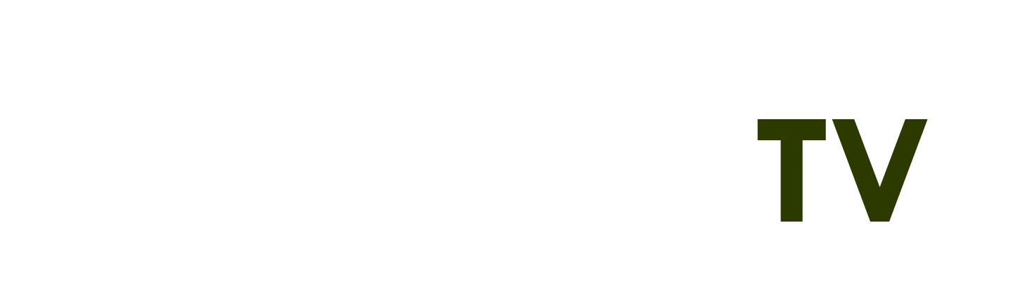 ốc mít